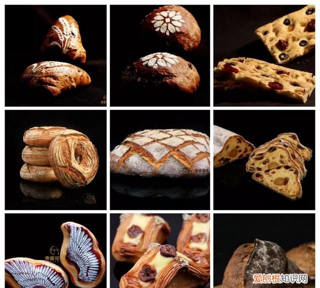 干货分享知识 干货分享是什么意思