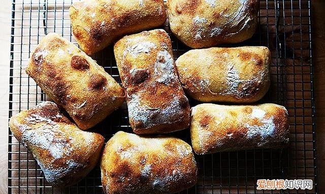 干货分享知识 干货分享是什么意思