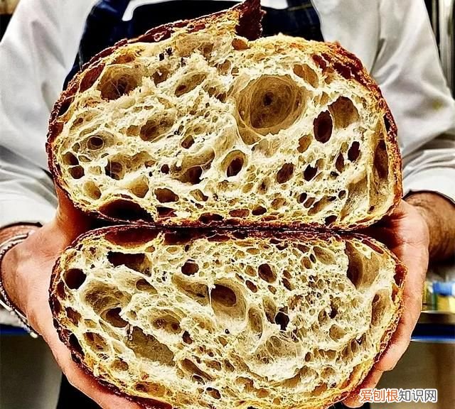 干货分享知识 干货分享是什么意思