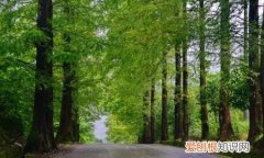 闯雨的特点，下雨天拥挤的路口闯红灯压线算