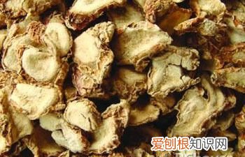 山奈适合炖什么肉，炖猪脚可放山奈八角香叶