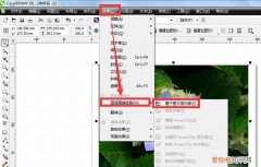 cdr应该怎么样才能删除不要的部分