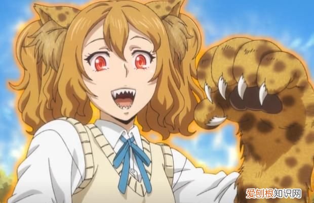 我的世界兽娘动画 兽娘是什么物种