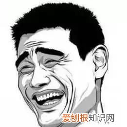 蟑螂的预防与消灭常识,怎么样最有效的预防蟑螂