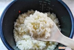 焖米饭需要多久，焖大米饭需要用水泡多久