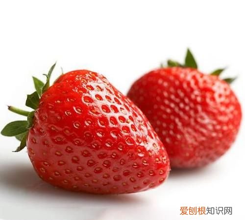 奶莓和草莓的区别，白草莓只有日本才有和菠萝莓的区别