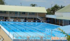 半标游泳池多大