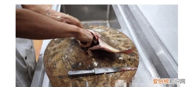 红烧鲤鱼怎么做法，王刚红烧鲤鱼最正宗的做法