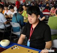 马天放为什么不是职业围棋棋手，世界围棋职业九段棋手有多少人