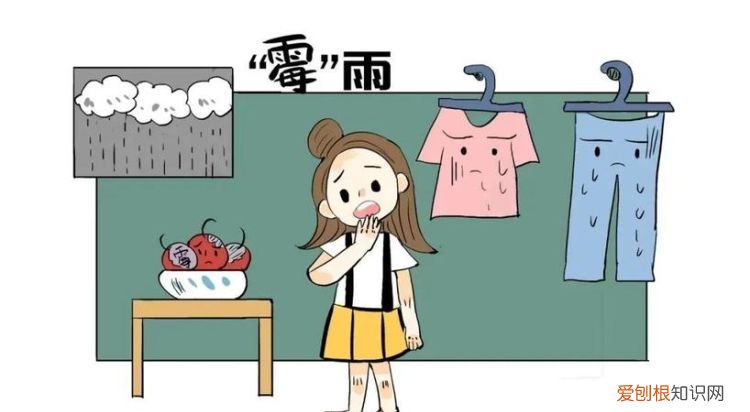 潮湿天衣服不干怎么办，南方秋天衣服干不了怎么办