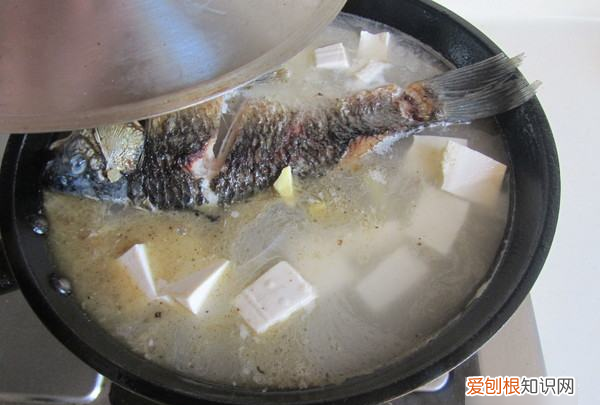 鲫鱼豆腐汤的做法，鲫鱼豆腐汤正宗做法