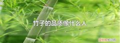 竹子代表什么象征意义，竹子荷花梅花松树分别代表什么品格