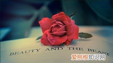 宅在家不能出门怎么办，孩子宅在家里不出门不见人怎么办