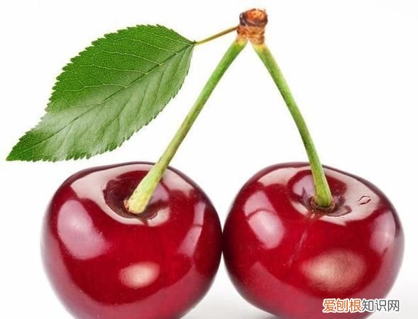 哪些水果是低糖水果，三月李属于低糖水果