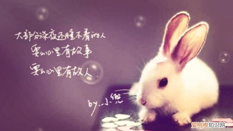 你深夜还不睡又在想着谁是什么歌