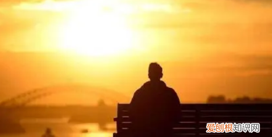 什么金无足赤的上一句，金无足赤的上一句是什么