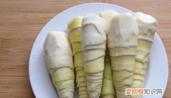 竹笋怎么挑选嫩的，毛笋和竹笋有什么区别如何挑选分辨毛笋和竹笋