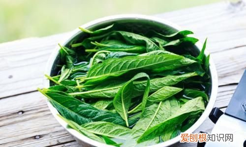 芝麻叶苦能不能吃为什么苦，芝麻叶面条做出来苦怎么回事