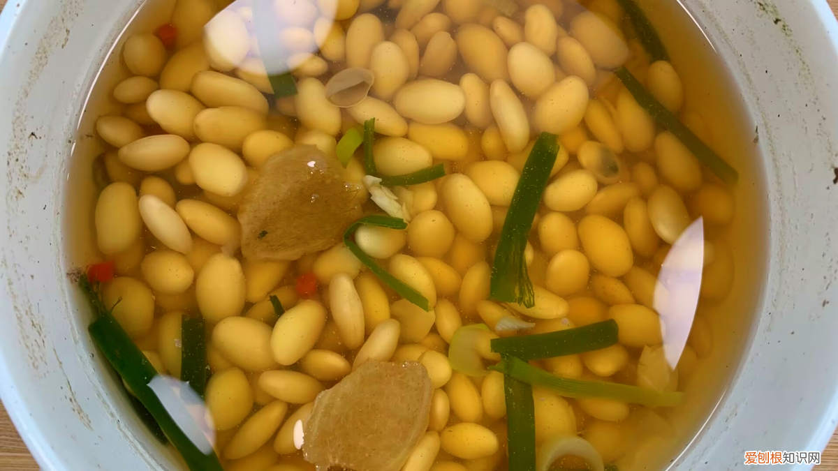 薏米的副作用和禁忌