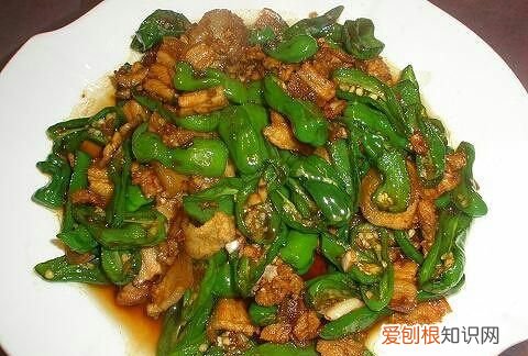 炒肉的菜有哪些,初学炒肉菜的学生应该懂得哪些