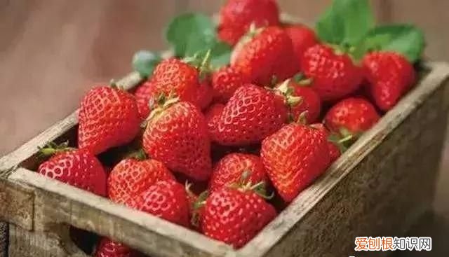 减肥期间吃这3种水果全都是脂肪