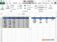 Excel表格应该咋得才可以做高级筛选