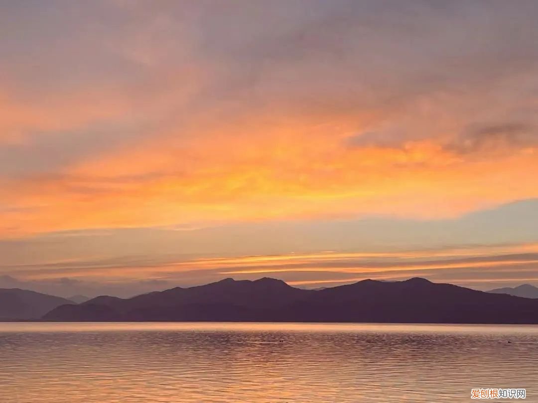 圣瓦伦丁节的由来