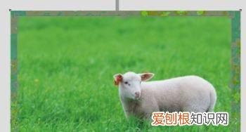 cdr裁剪工具该如何才能用