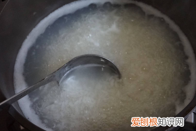 莲子配什么煲汤，莲子可以和什么东西一起煮好吃