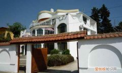 witmind是什么牌子