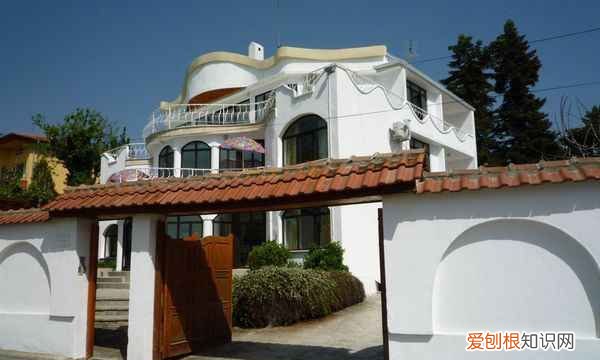 witmind是什么牌子