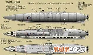 诺第留斯号为什么叫做鹦鹉螺号