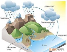 水的社会循环是什么，什么是水的社会循环