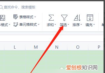 Excel高级筛选该怎样做，如何进行高级筛选Excel