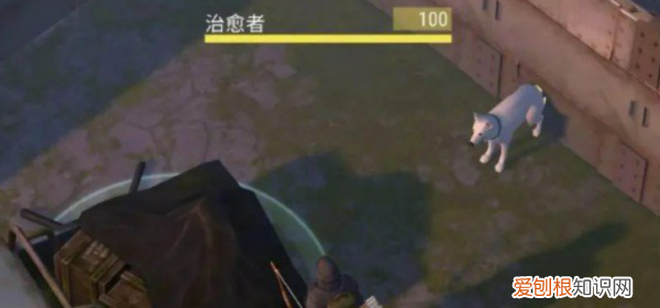 地球末日生存怎么得到狗，地球末日生存正版官网下载