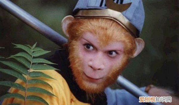 阿傩迦叶为什么索要礼物，阿傩和迦叶为什么会索要贿赂