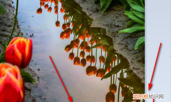 画图工具应该怎样调整大小，电脑画图软件怎么调整照片大小