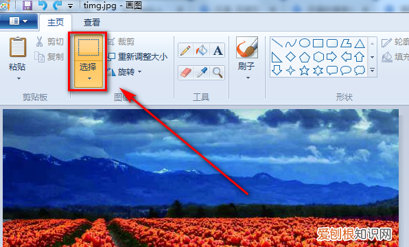 画图工具应该如何调整的大小，电脑画图软件怎么调整照片大小