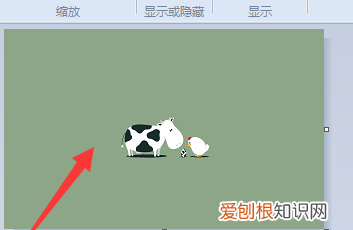 画图工具怎样调整的大小，画图软件调整照片大小和像素