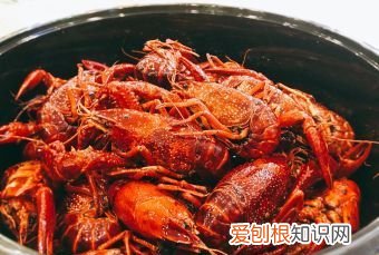 汉南区美食，江夏十大必吃餐厅