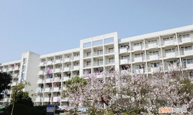 江苏城市学院是真的吗，江苏城市职业学院和南京信息的距离