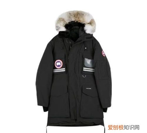 加拿大鹅s码适合多少斤，加拿大鹅m码适合什么身高