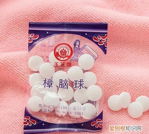 樟脑丸能驱赶蟑螂吗,樟脑丸可以驱除蟑螂