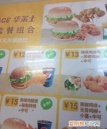 华莱士训练员怎么考,华莱士训练员是什么职位