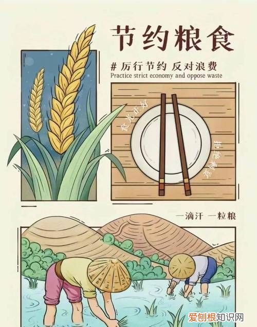 中国第一部关于禁止浪费粮食的法律名