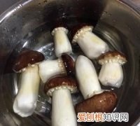 姬松茸怎么洗干净，姬松茸炖鸡的做法姬松茸炖鸡怎么做好吃姬松