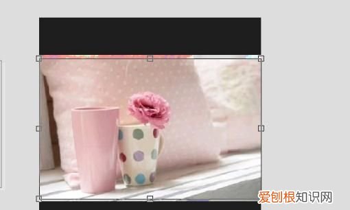 cdr中的裁剪工具怎么样使用