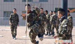 新兵特战旅要训几个月，特战荣耀杨洋跟谁在一起了