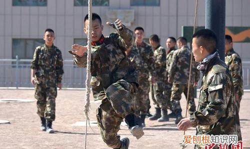 新兵特战旅要训几个月,特战荣耀杨洋跟谁在一起了