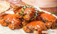 五河县美食，河南省周口市鹿邑县有什么出名地方可以旅游的